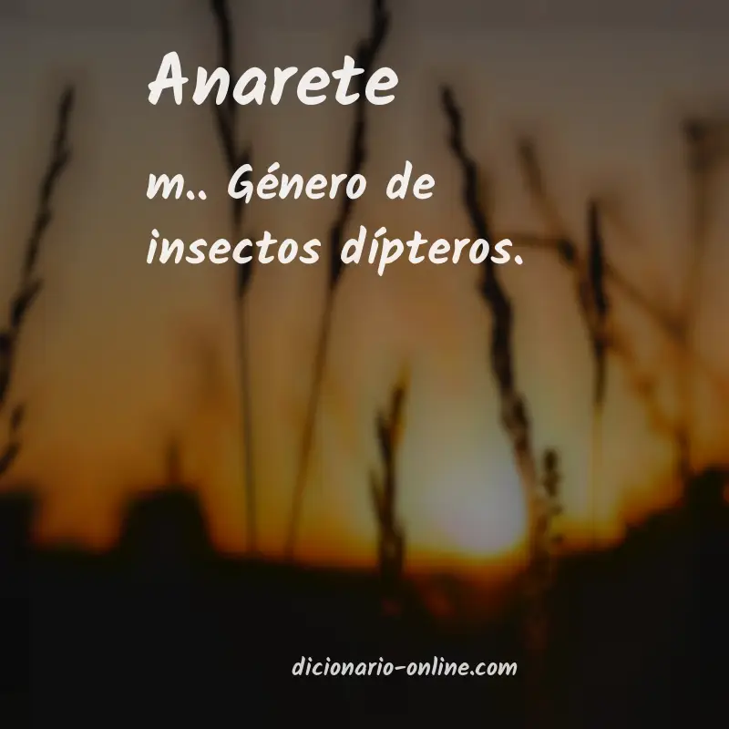 Significado de anarete