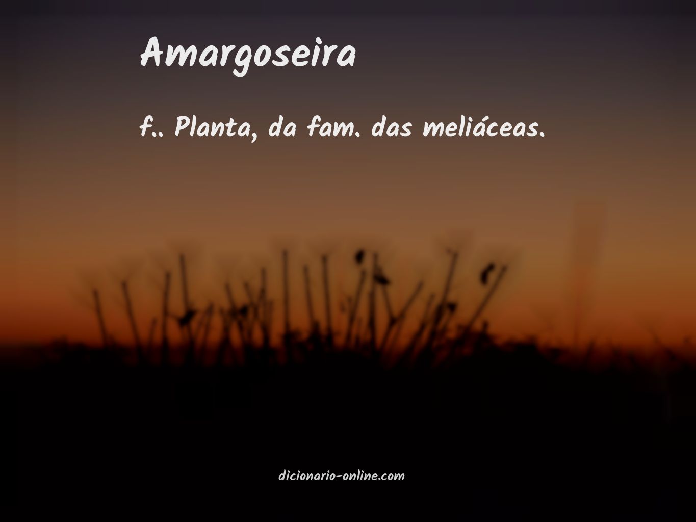 Significado de amargoseira