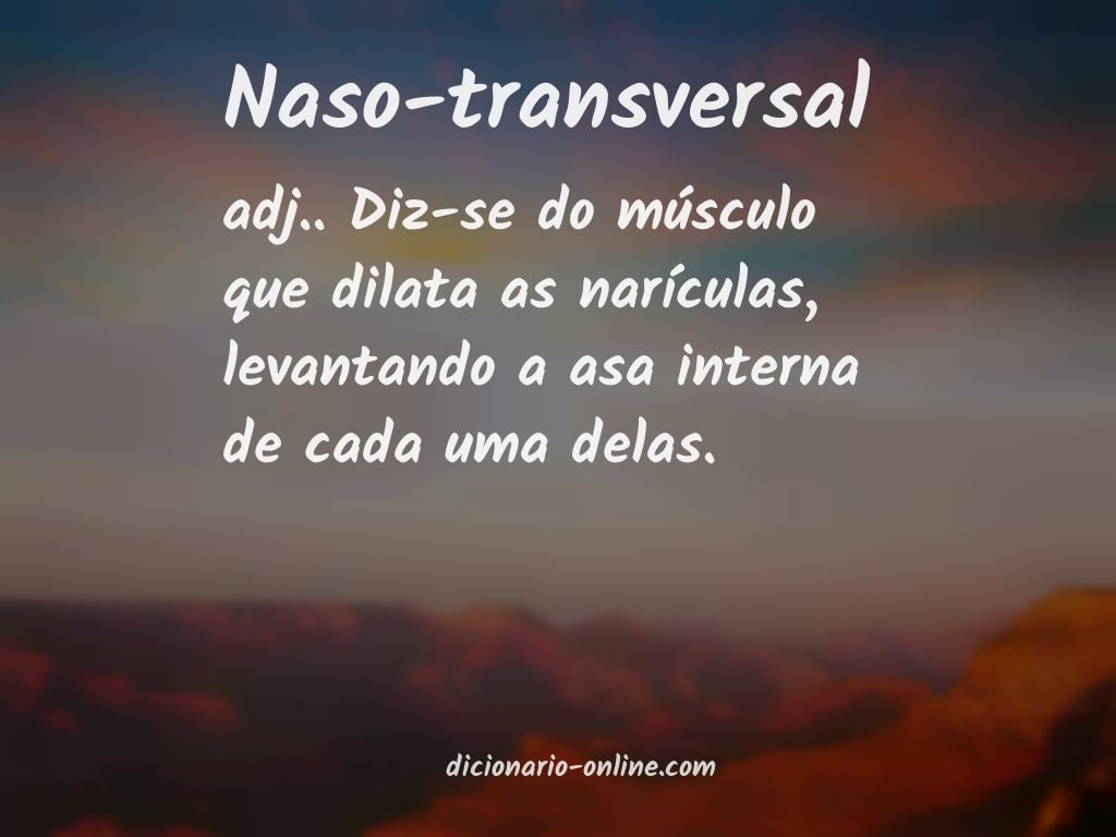 Significado de naso-transversal