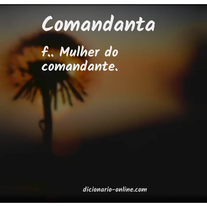 Significado de comandanta