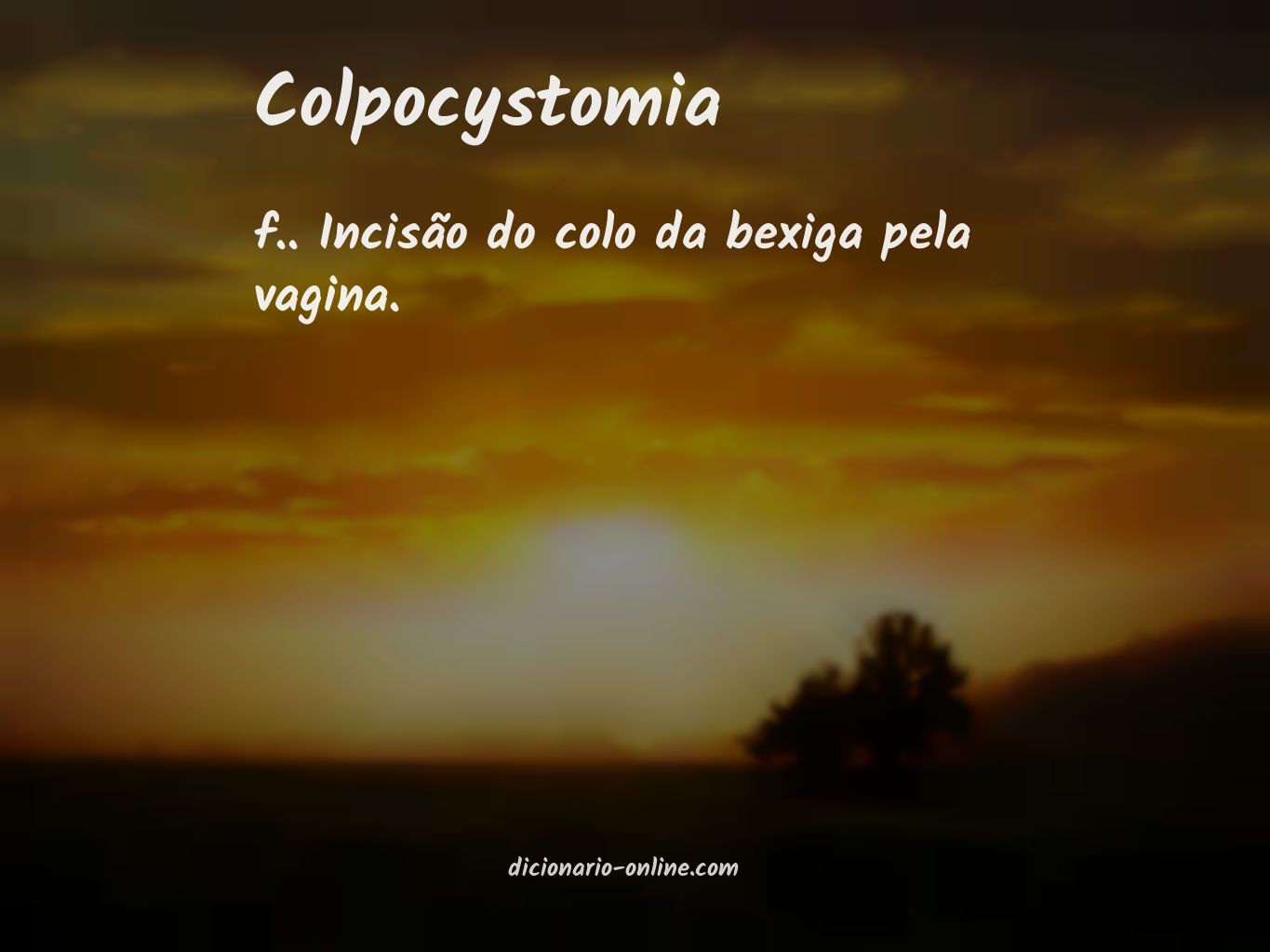 Significado de colpocystomia