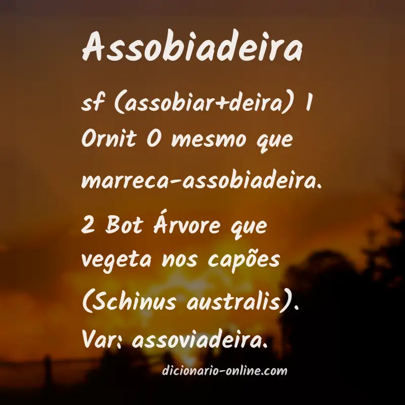 Significado de assobiadeira