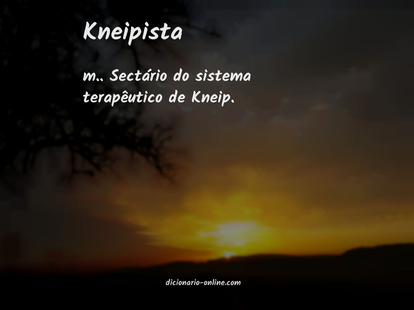 Significado de kneipista