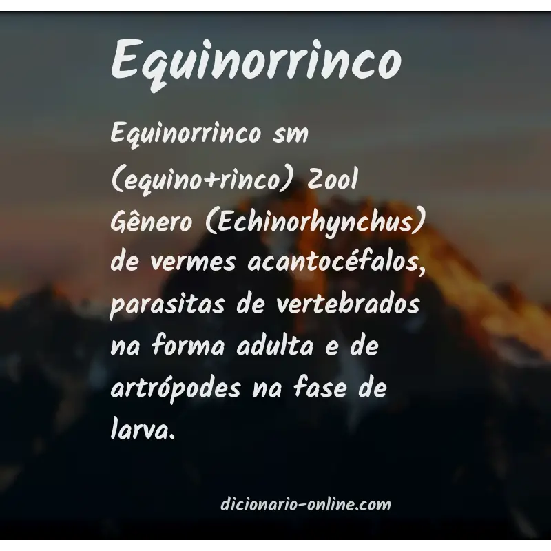 Significado de equinorrinco