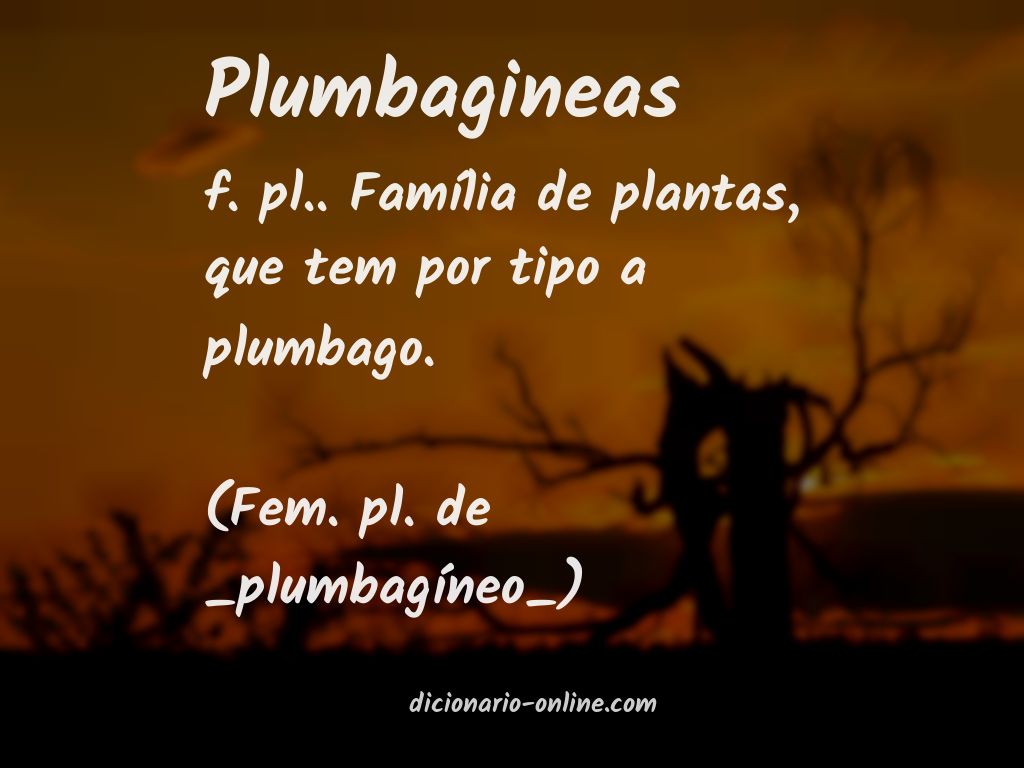 Significado de plumbagineas