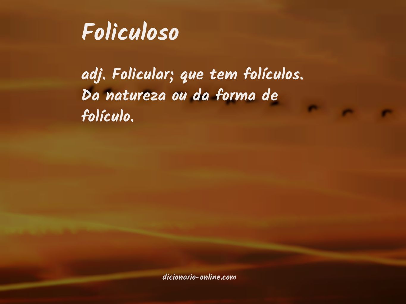 Significado de foliculoso