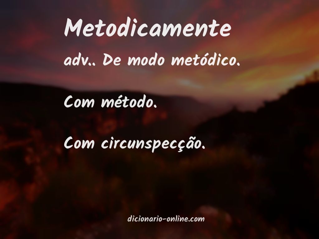 Significado de metodicamente