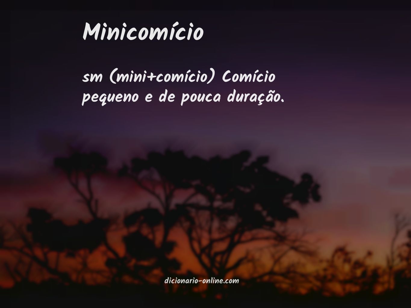 Significado de minicomício