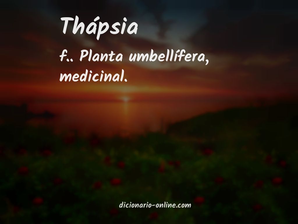 Significado de thápsia