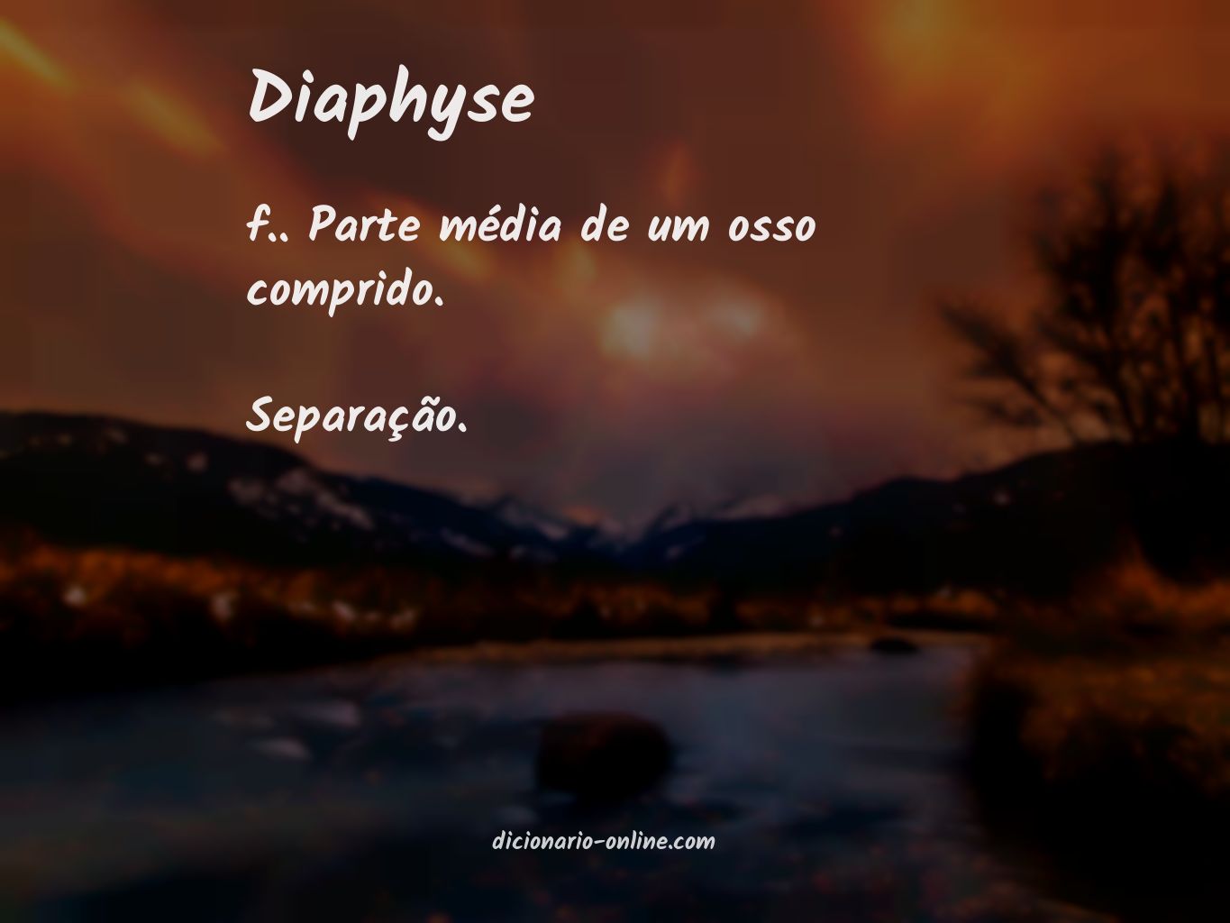 Significado de diaphyse