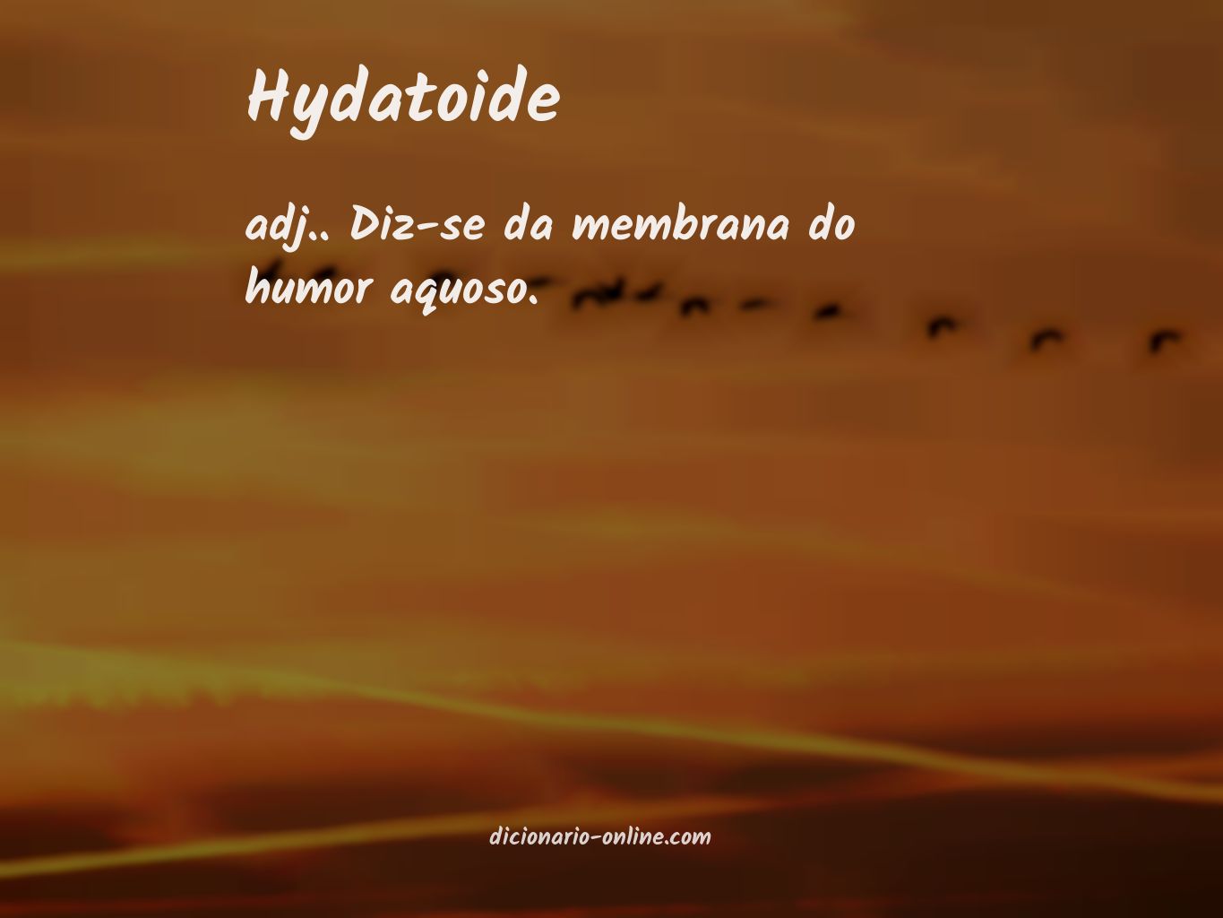 Significado de hydatoide