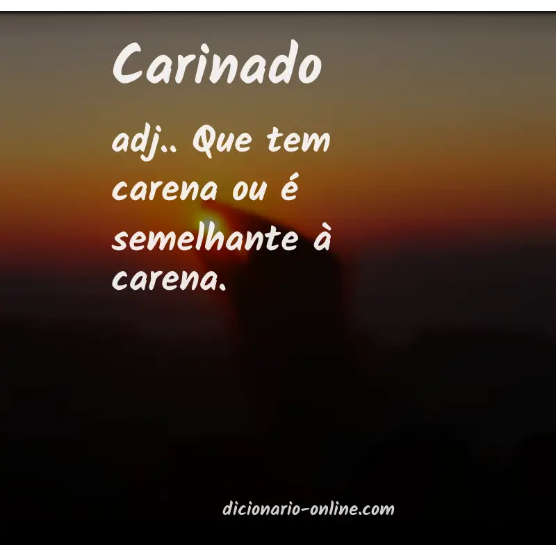 Significado de carinado