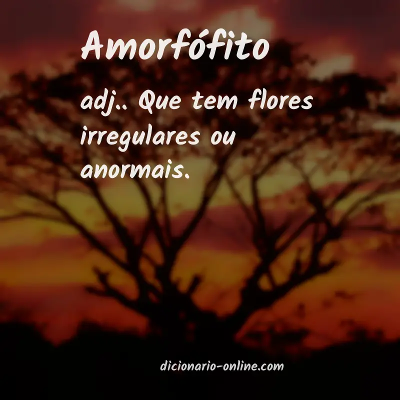 Significado de amorfófito