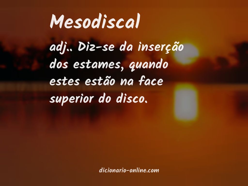 Significado de mesodiscal