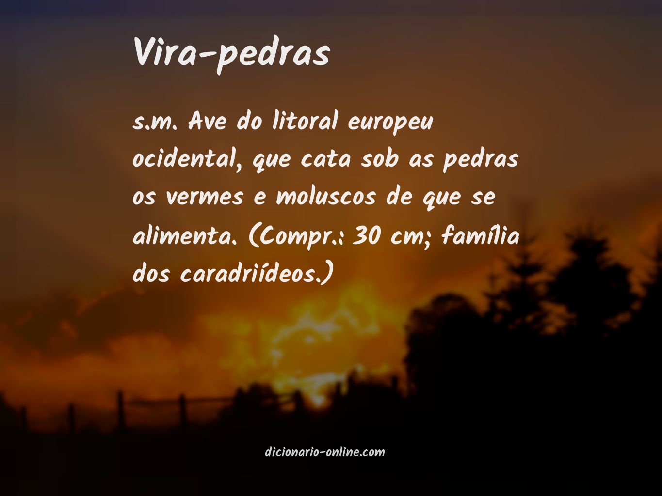 Significado de vira-pedras