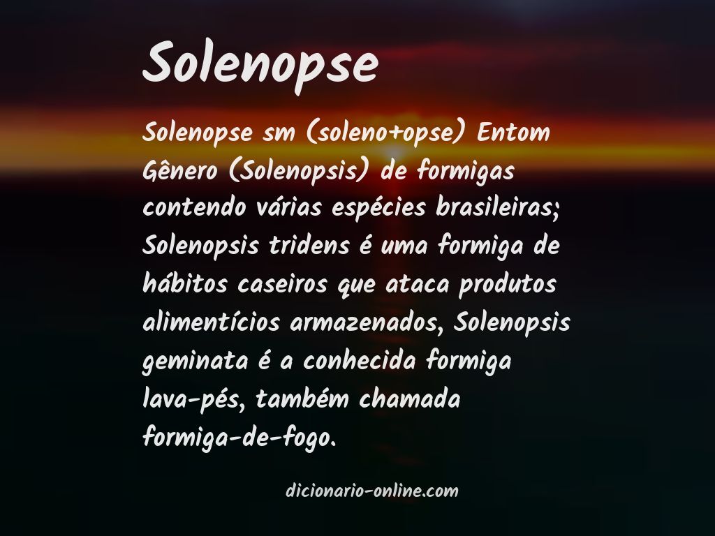 Significado de solenopse