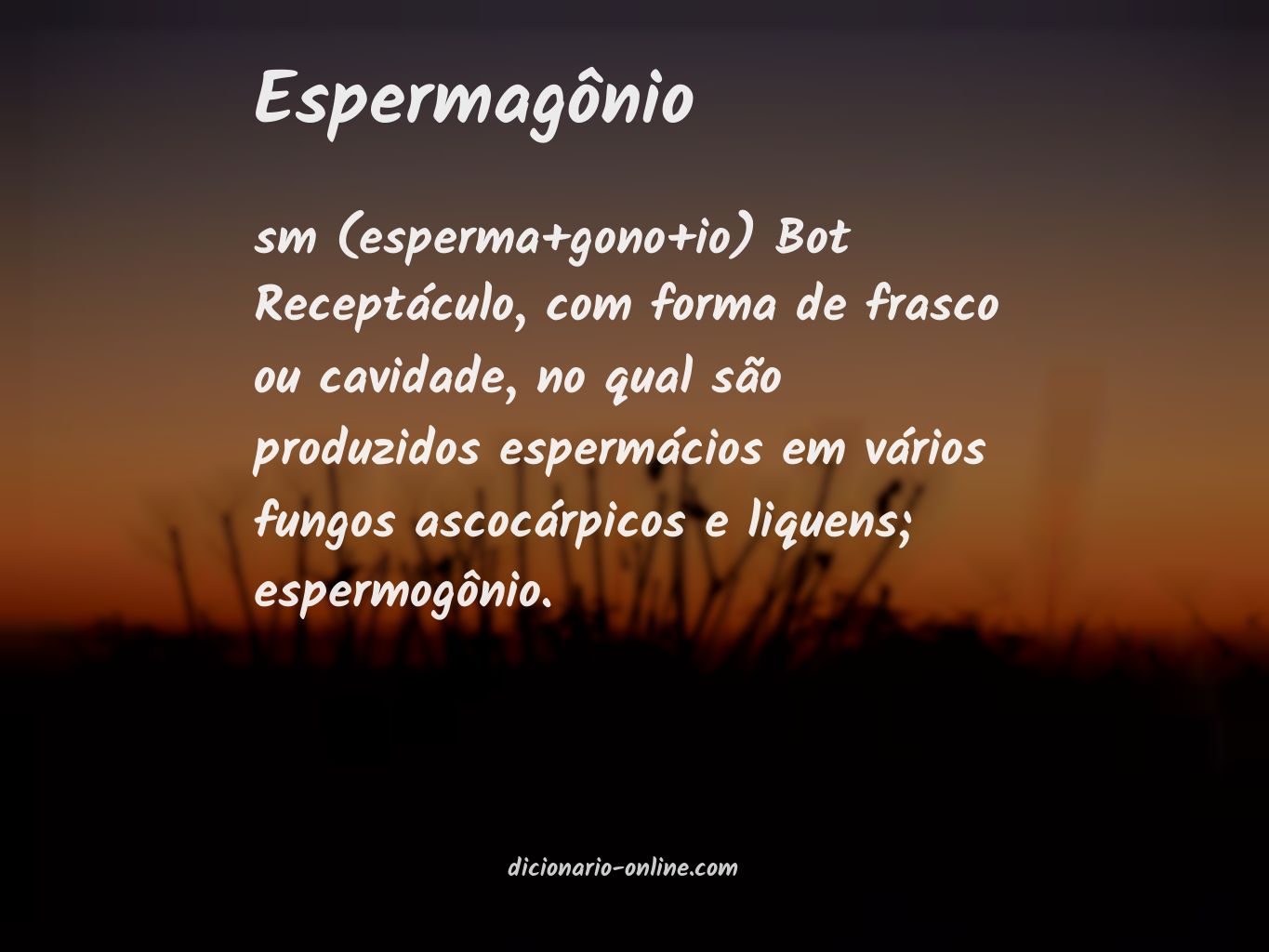 Significado de espermagônio