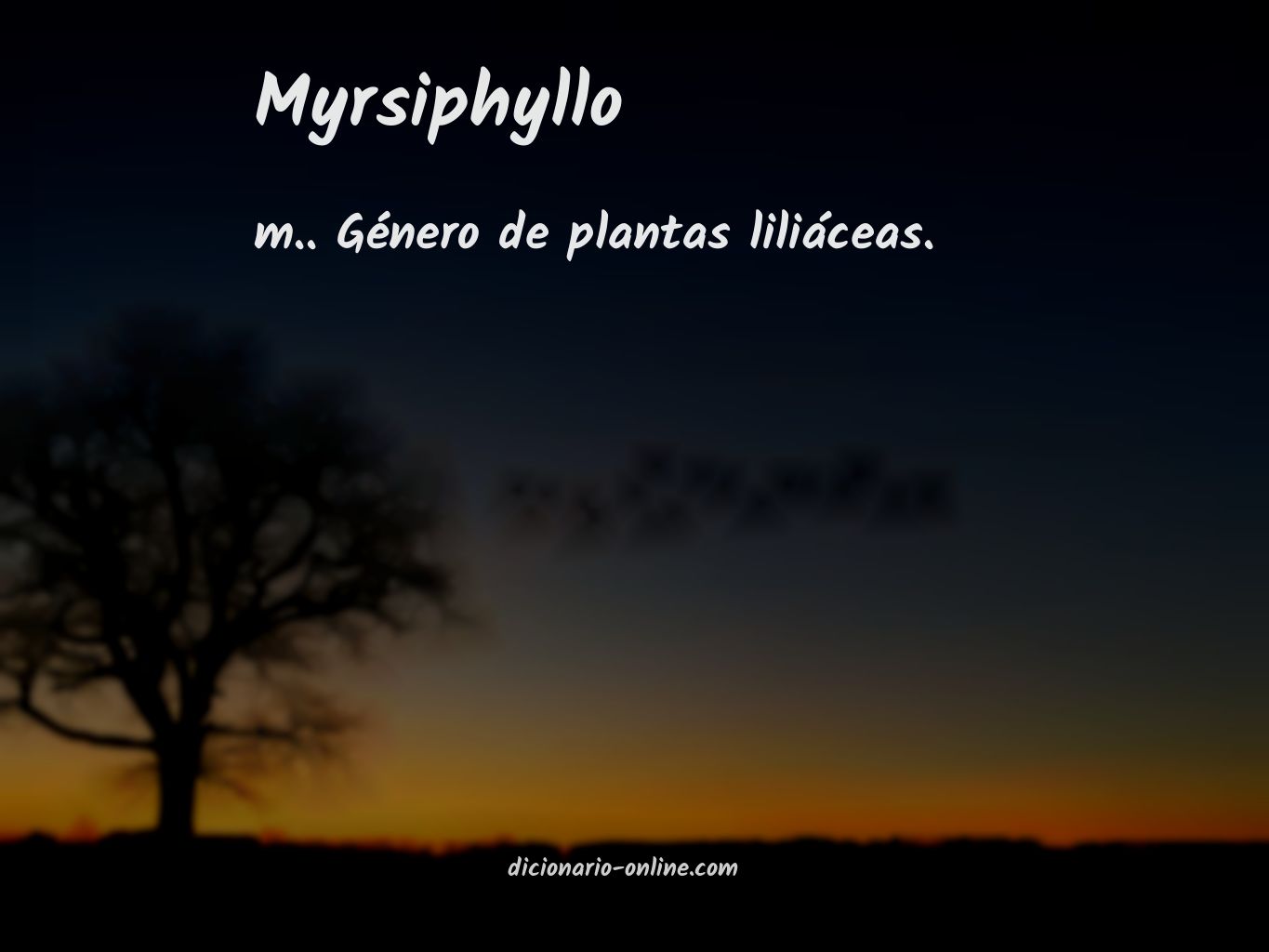 Significado de myrsiphyllo