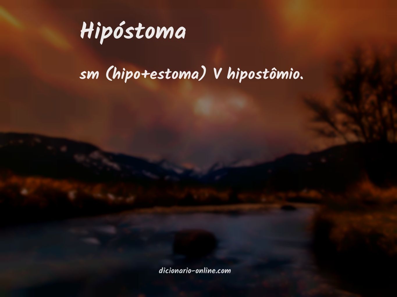 Significado de hipóstoma