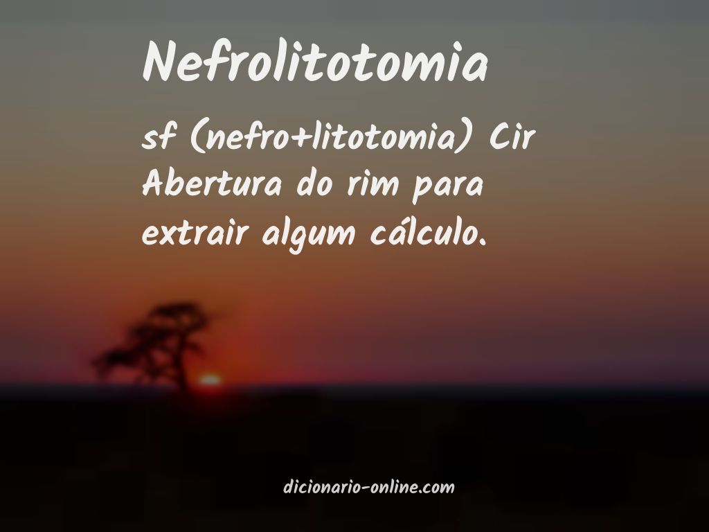 Significado de nefrolitotomia