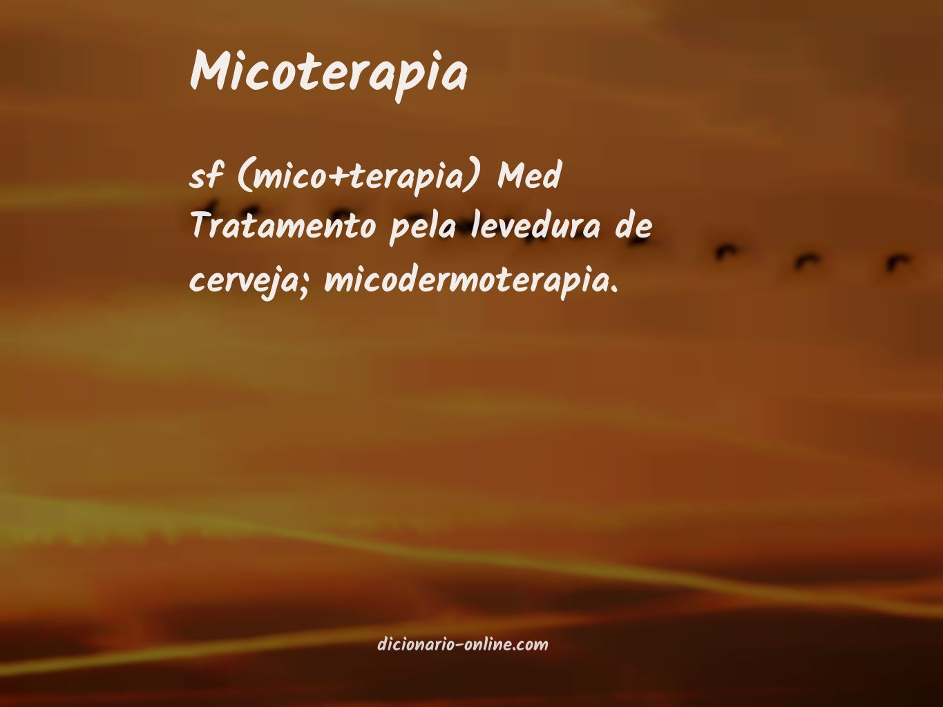 Significado de micoterapia