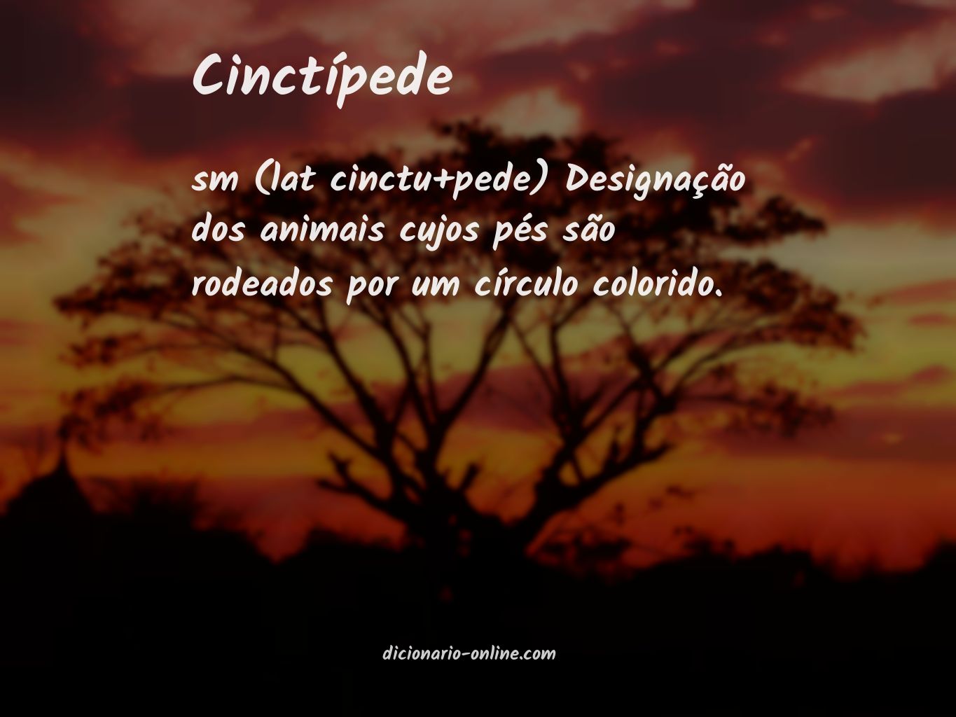 Significado de cinctípede