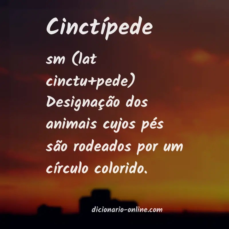 Significado de cinctípede