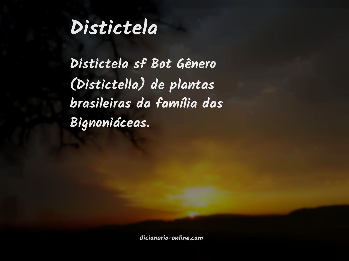 Significado de distictela