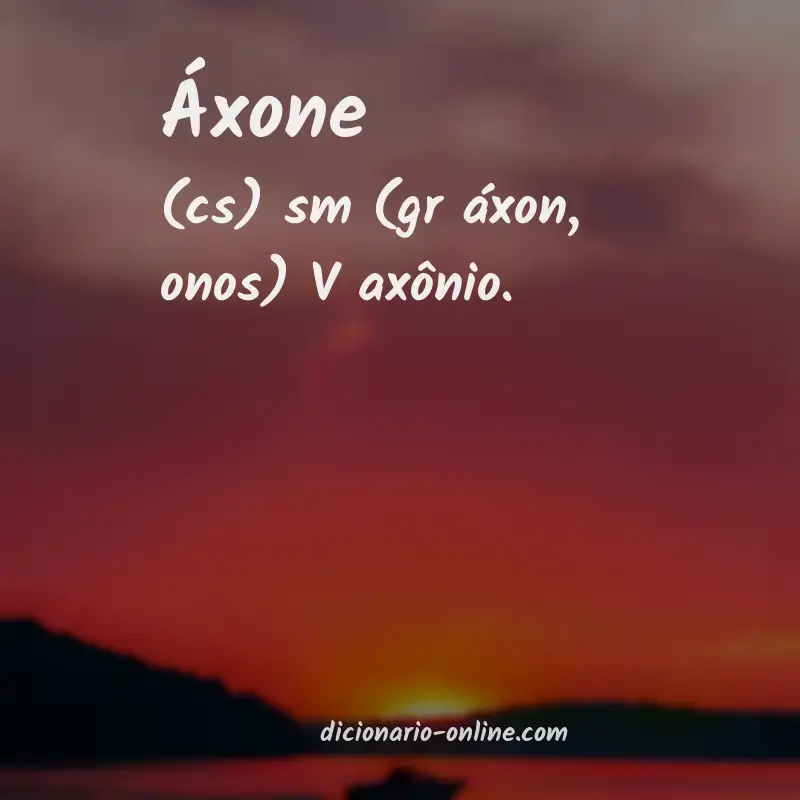 Significado de áxone