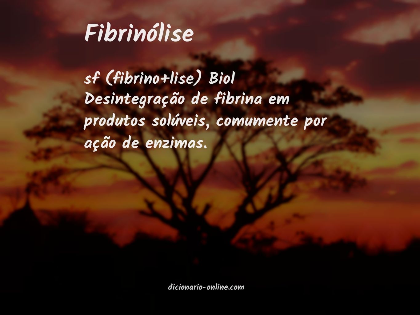 Significado de fibrinólise