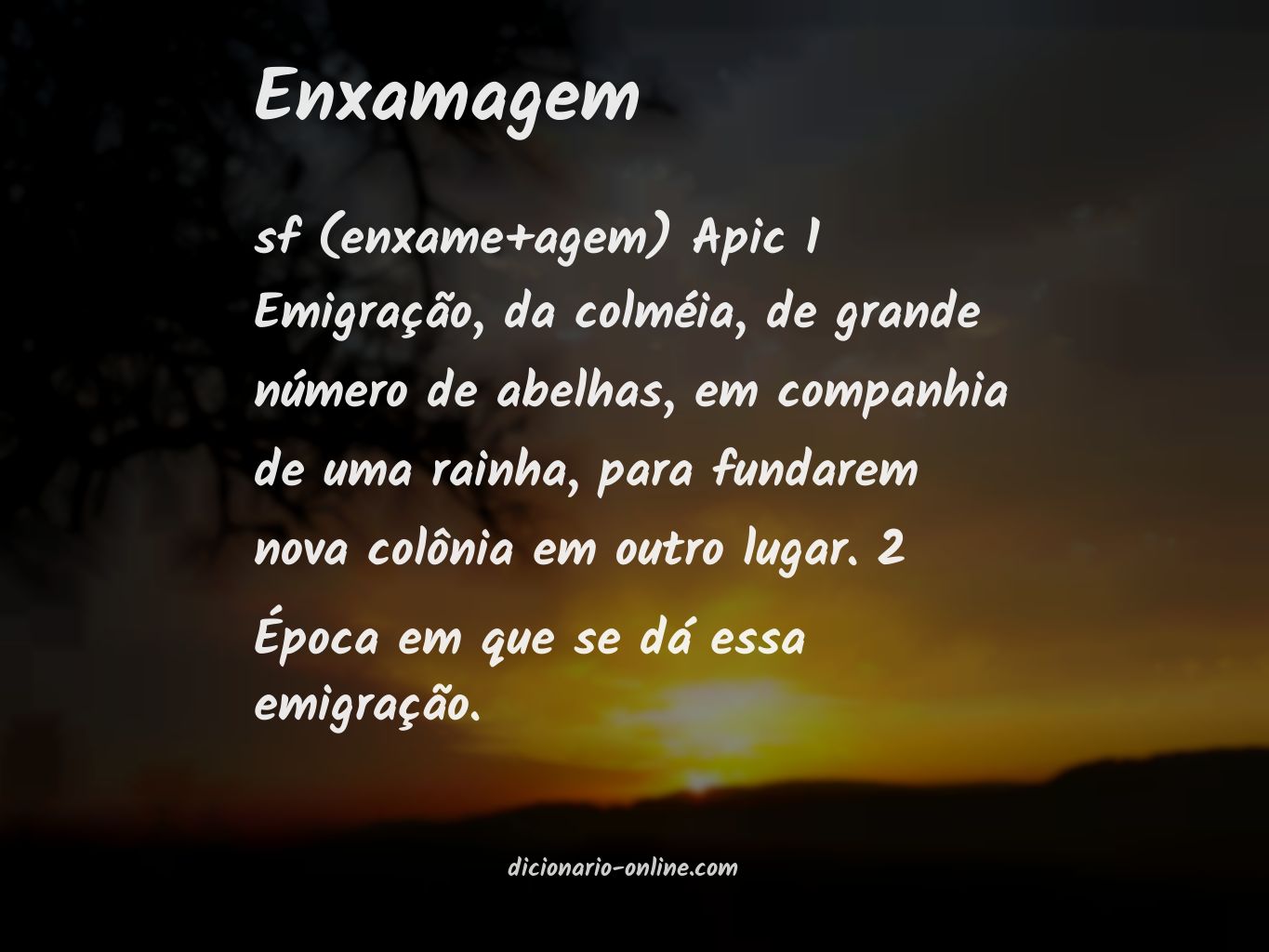 Significado de enxamagem