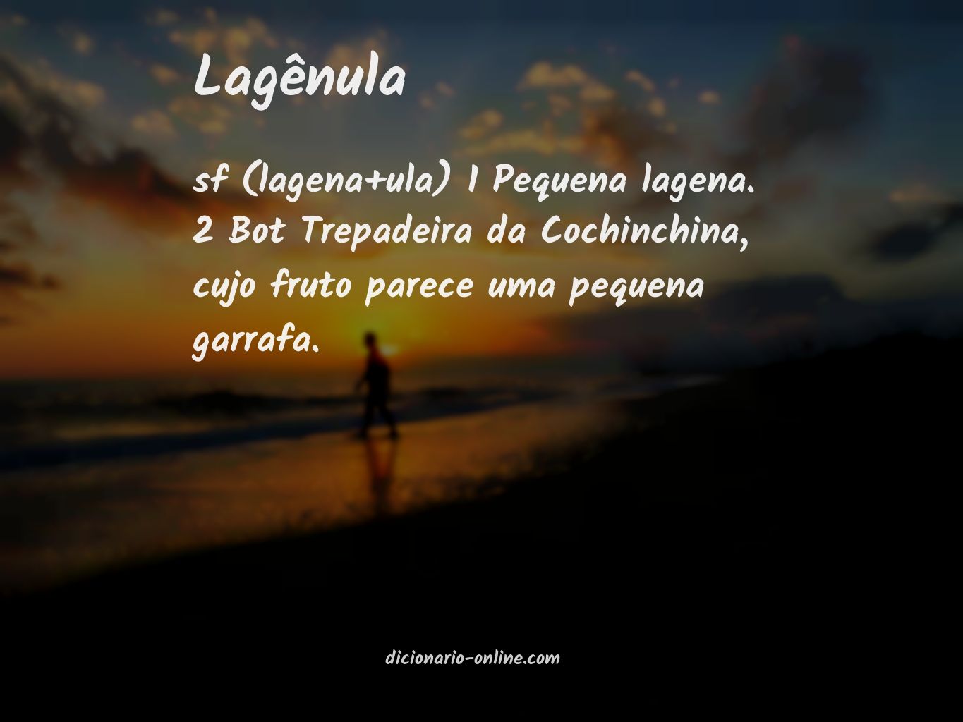 Significado de lagênula