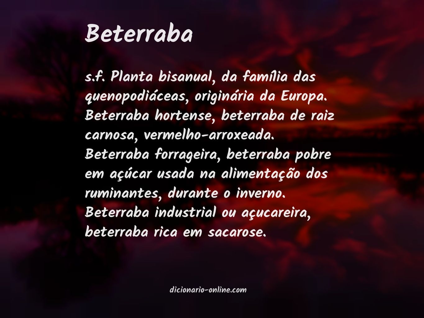 Significado de beterraba