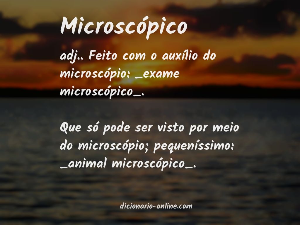 Significado de microscópico