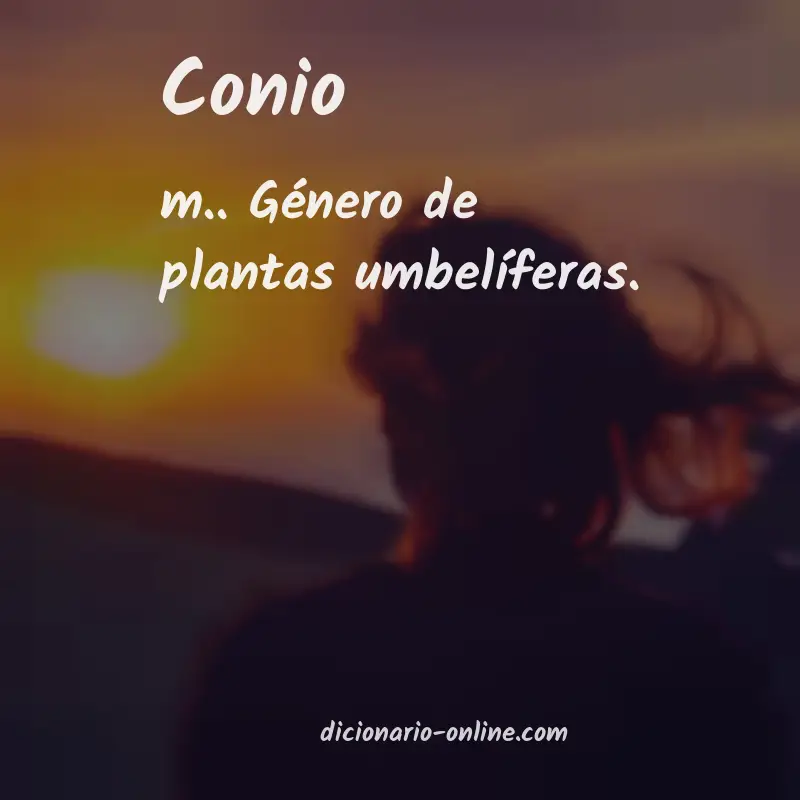 Significado de conio