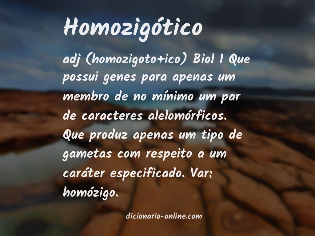 Significado de homozigótico