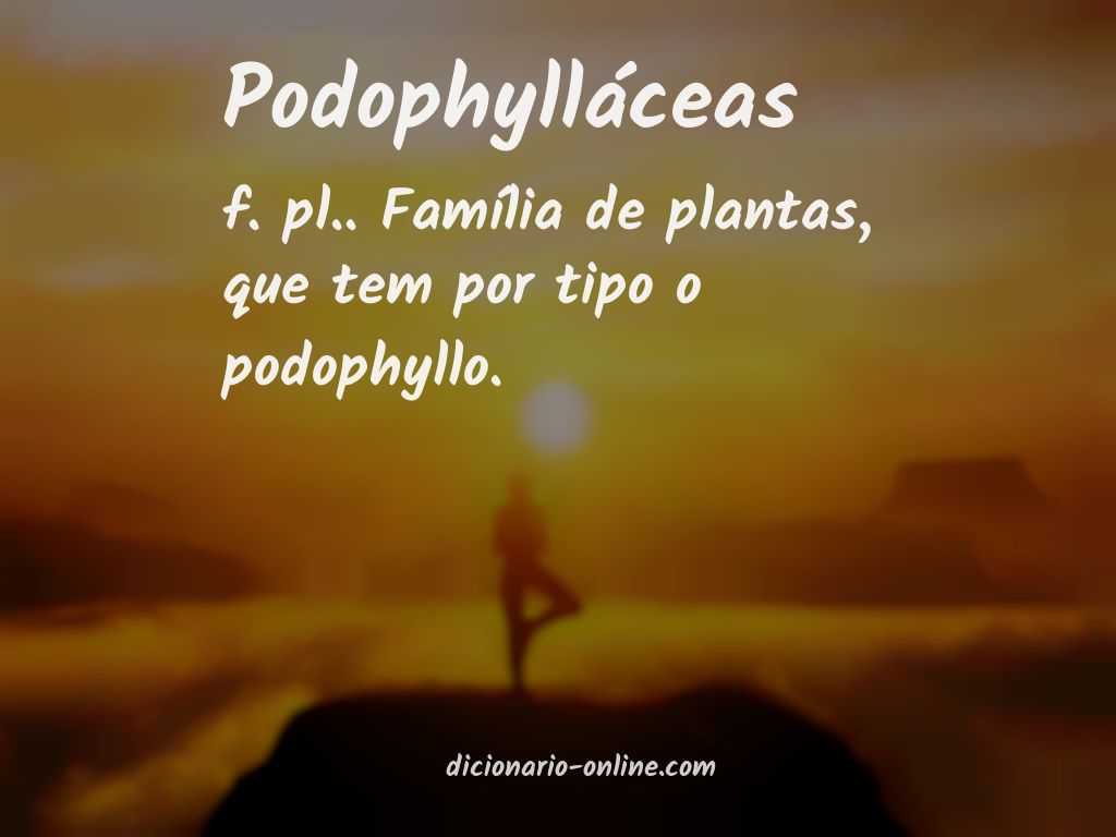 Significado de podophylláceas