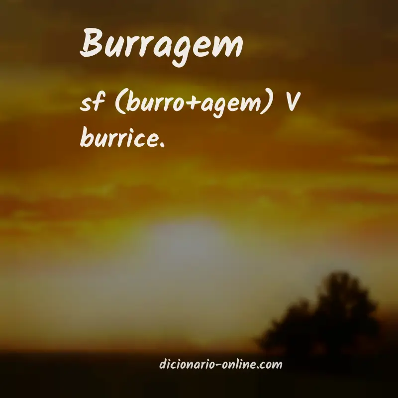Significado de burragem