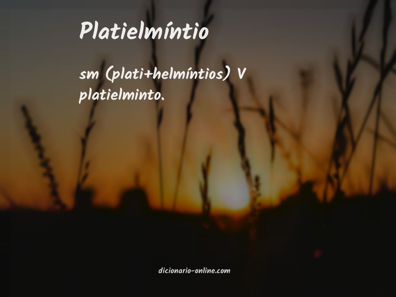 Significado de platielmíntio