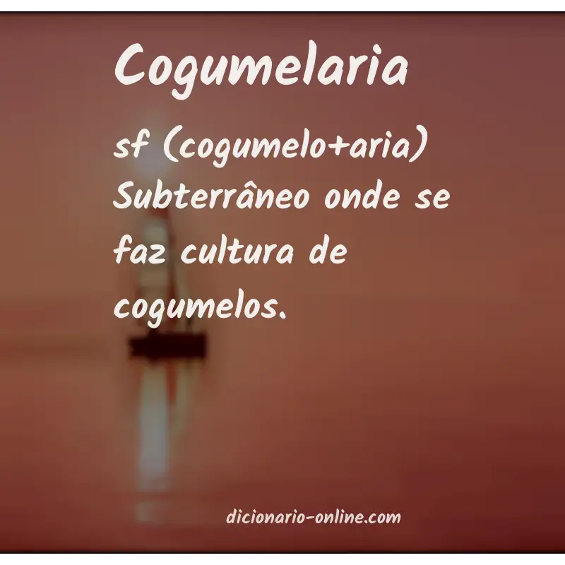 Significado de cogumelaria