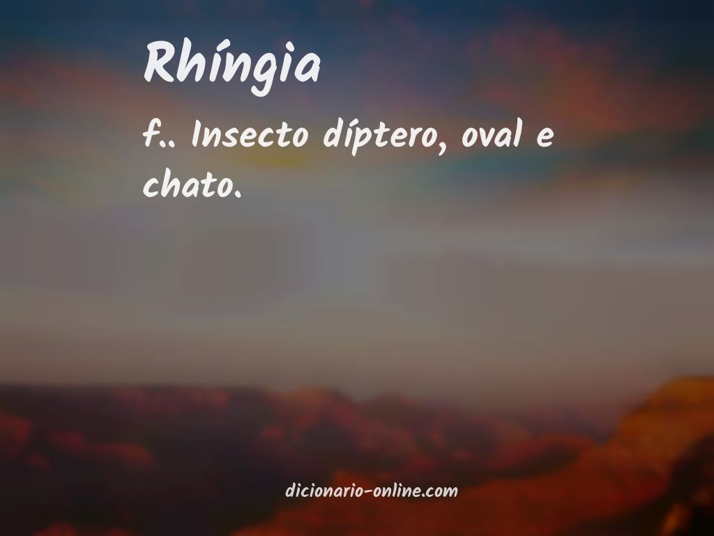 Significado de rhíngia