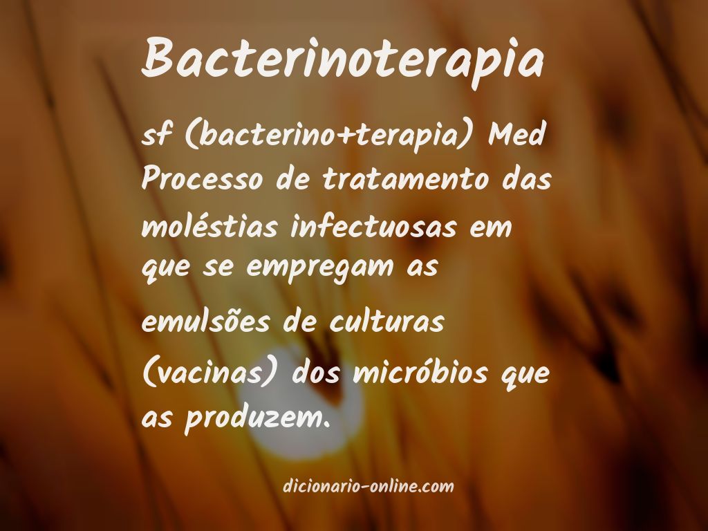 Significado de bacterinoterapia