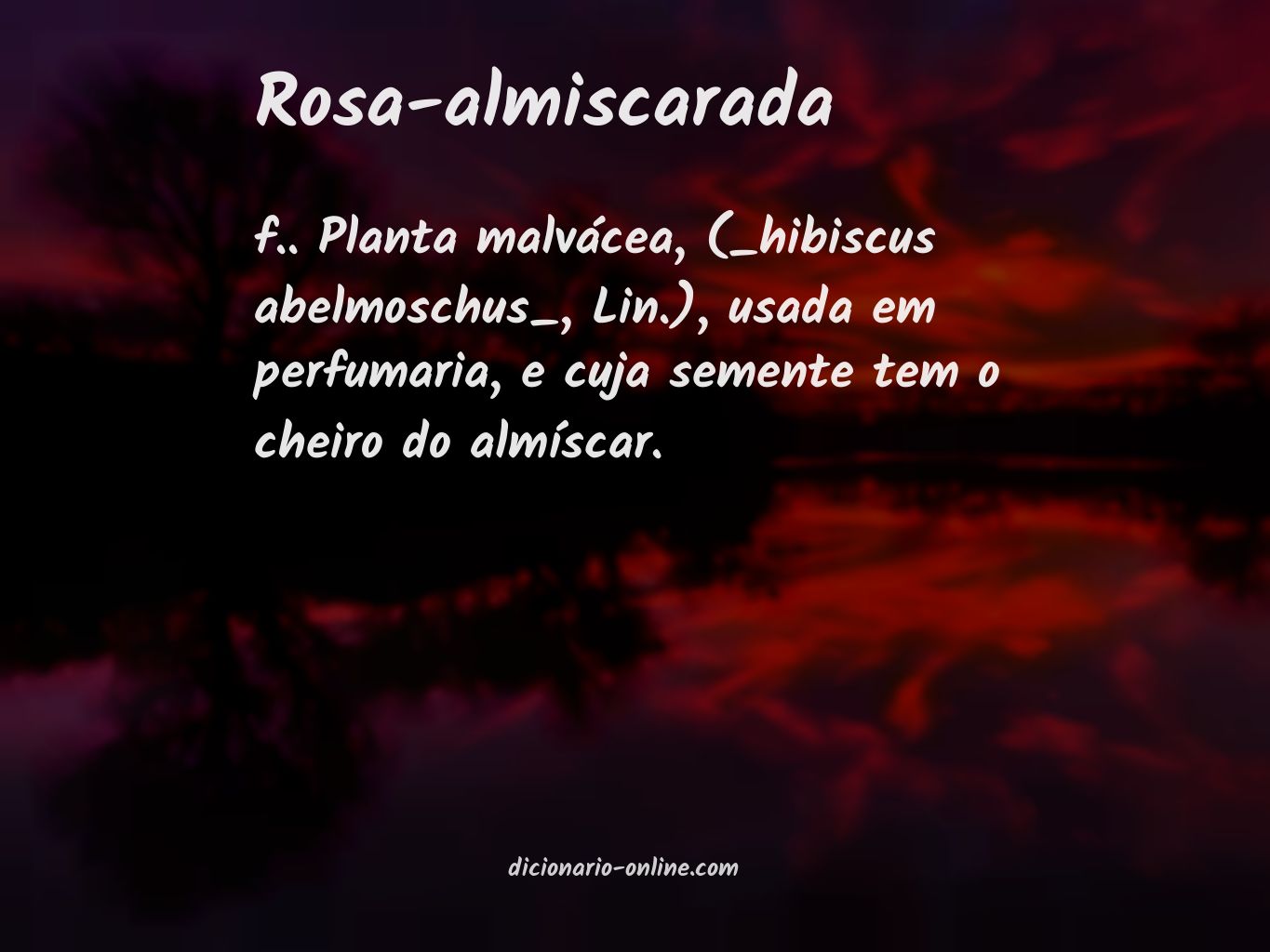 Significado de rosa-almiscarada