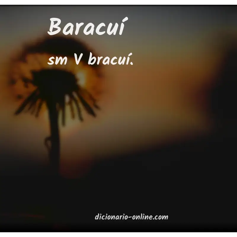 Significado de baracuí