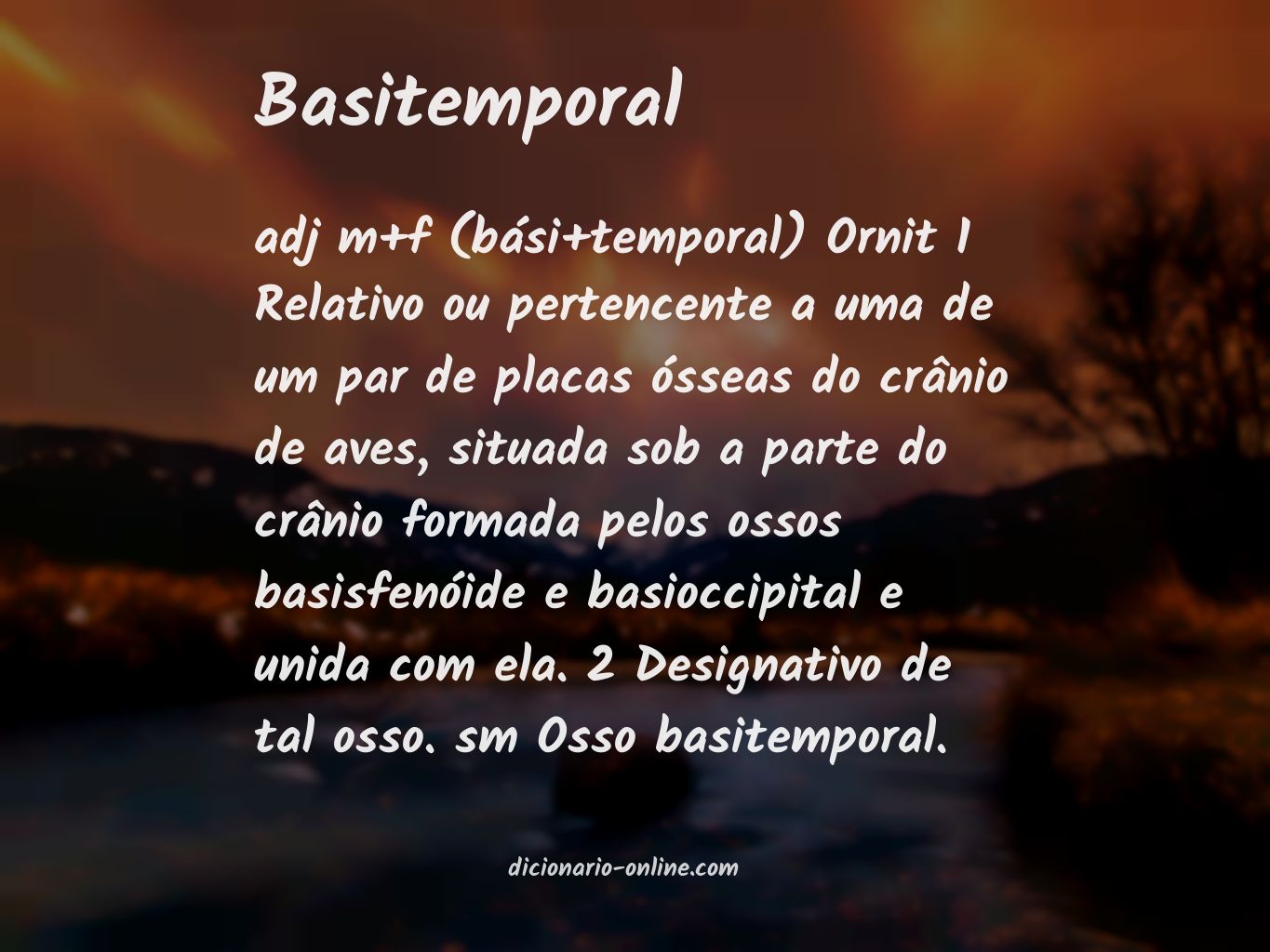 Significado de basitemporal