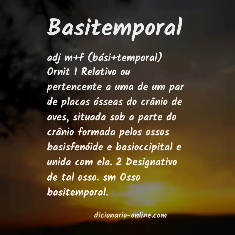 Significado de basitemporal
