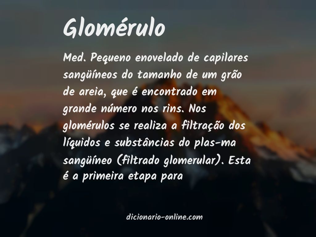 Significado de glomérulo