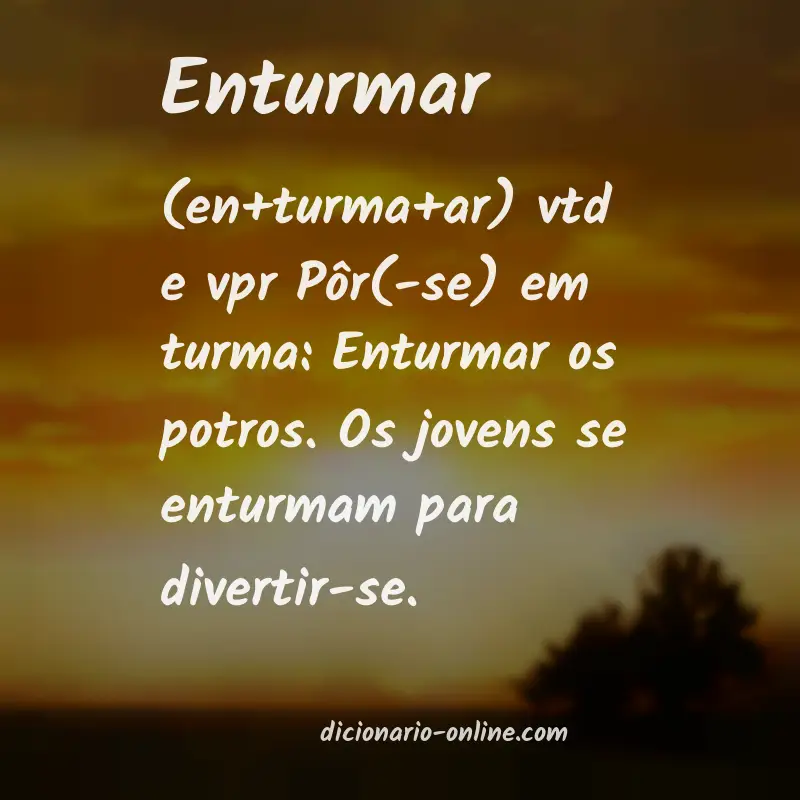 Significado de enturmar