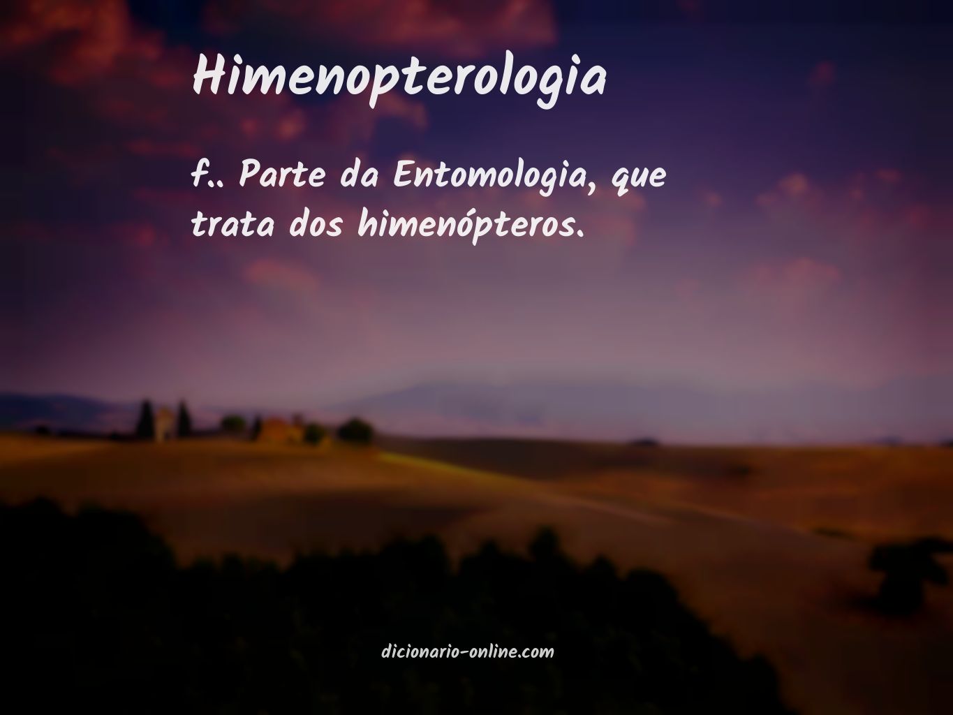 Significado de himenopterologia