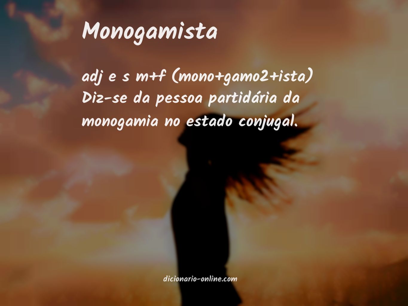 Significado de monogamista